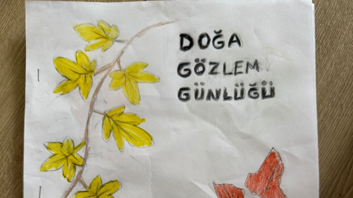 DOĞA GÖZLEM GÜNLÜĞÜ